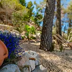 Βίλα Vista Paraiso By Interhome *